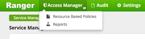 Access Manager tab