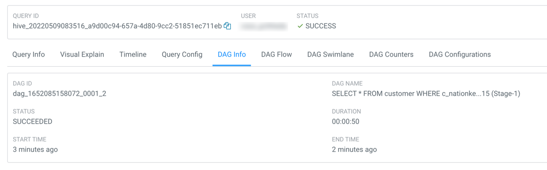 DAG Info tab showing the DAG ID, DAG name, the status of the query, the time taken to execute the DAG, start time, and end time.