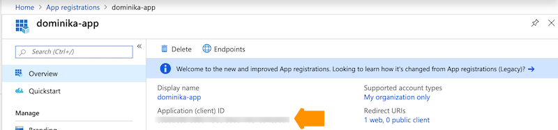 Application registration user interface indicating the Application ID