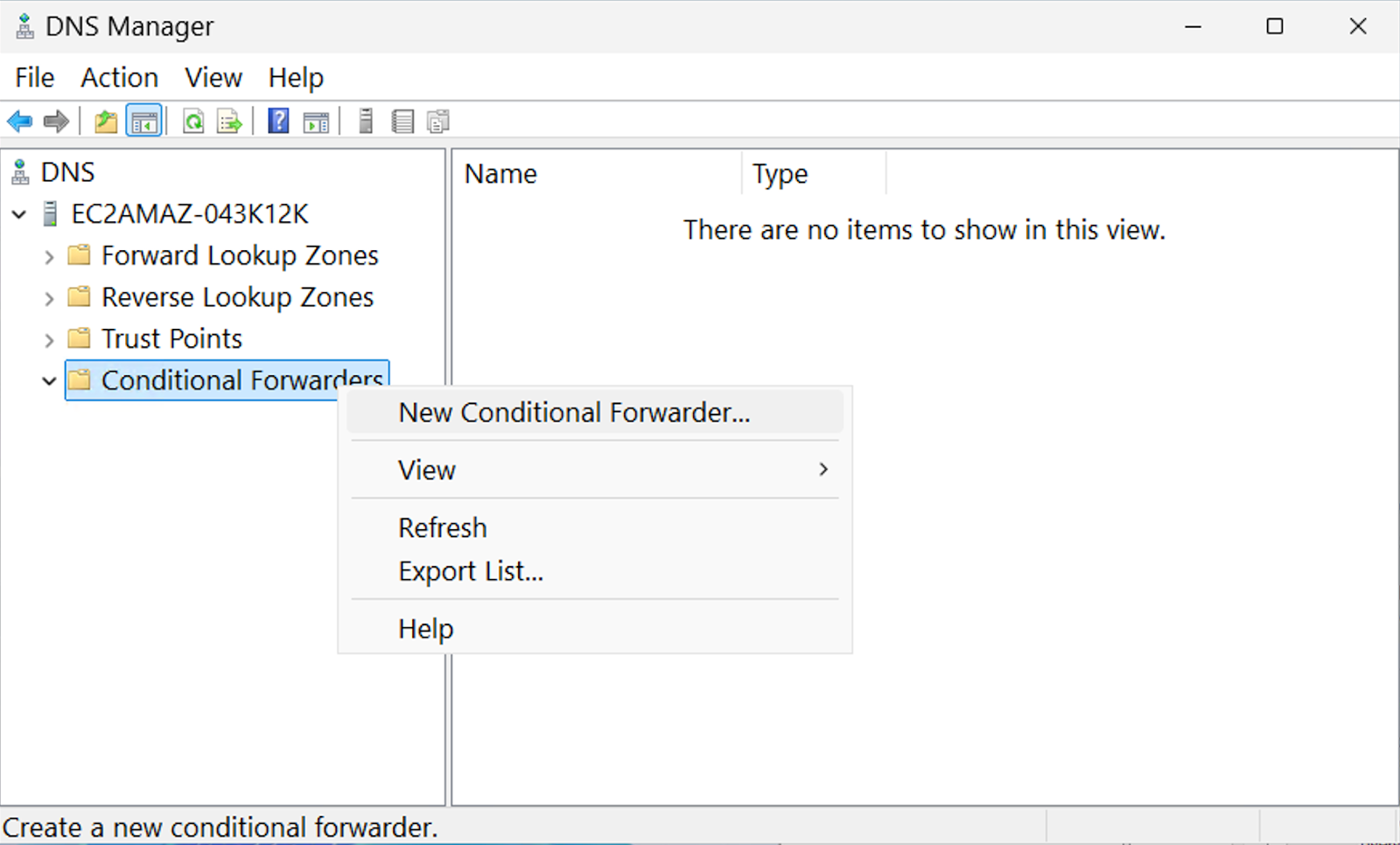 Windows Server 2025 user interface, DNS Manager window, Conditional Forwarders of the DNS server section. New Conditional Forwarder option selected