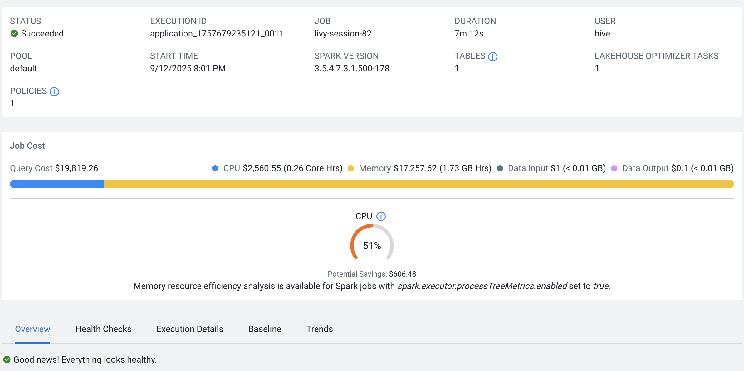 The image hows the Lakehouse Optimizer subsection in the Summary section.