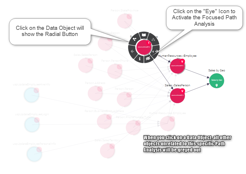 Active data object with the other objects, unrelated to this specific path analysis, greyed out. The radial button is also displayed for the active object.